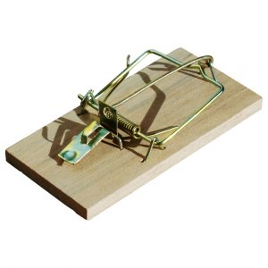 BROS łapka na myszy drewniana