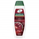 Palmolive szampon do włos&oacute;w Brilliant Colour 350ml